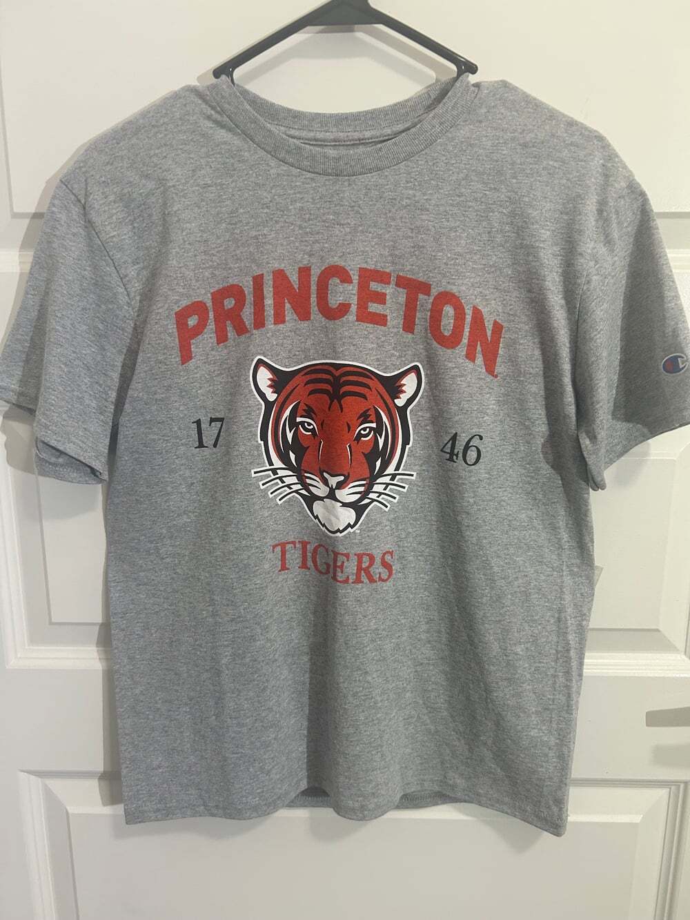 NWT Champion Youth Princeton University Tigers T-Shirt Gray Size YL (10-12)
